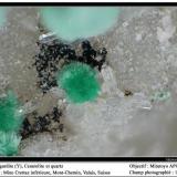 Agardite-(Y) with cesàrolite and quartz
Crettaz Mine, Mont Chemin, Martigny, Valais, Switzerland
fov 1.5 mm (Author: ploum)