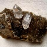 Quartz
Crystal Grove Diamond Mine, St Johnsville, Montgomery Co., New York, USA
Specimen size 50 mm, quartz crystals 13 &amp; 17 mm (Author: Tobi)
