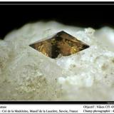 Anatase
Col de la Madeleine, Massif de La Lauzière, Savoie, Rhône-Alpes, France
fov 4.5 mm (Author: ploum)