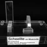 LF_SCHEELITE PLATE_STAND_LABEL.JPG (Author: Louis Friend)