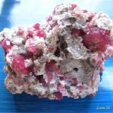 Grossular raspberry (Garnet group)
Coahuila, Mexico
8 cm x 4 cm x 6 cm (Author: Leon56)