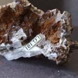 Dolomite with Carbonate
Beckermet Mine, Egremont, Cumbria, England, UK
5 x 3.5 x 2 cm
Showing Greenbank label with tabular Baryte (Author: nurbo)