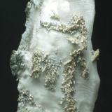 Plata Nativa sobre Calcita.
Mina Bouismas, Bou Azzer Area, Tazenakht, Ouarzazate, Marruecos.
6 x 3 cm.
Foto Joan Martínez Bruguera. (Autor: Carles Rubio)