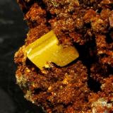 Wulfenita
Mina Ojuela, Mapimí, Mun. de Mapimí, Durango, Méjico.
Medidas pieza: 9,5x8,2x3,1 cm, Medidas cristal mayor: 0,7x0,6x0,3 cm (Autor: Sergio Pequeño)