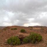 Ese día visitamos el casi desconocido yacimiento de endlichita cerca de la cantera AB. 
G. Sobieszek photo. (Autor: Josele)