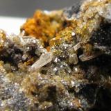 Cerusita
Les Coronetes, Lucena del Cid, Castellón, Comunidad Valenciana. España
Cristal de 1,5 mm.
Detalle de la anterior (Autor: José Luis Zamora)