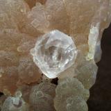 Analcime on Fluorite
Sharon Claims, Esmeralda County, Nevada, USA
Analcime size: 0.6 × 0.5 cm.
Photo: Reference Specimens (Author: Jordi Fabre)