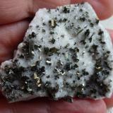 Marcasita en DolomitaLas Suertes Quarry, Las Suertes, Vegas de Matute, Comarca Suroeste, Segovia, Castile and León, Spain5 x 4 cm. (Autor: javier ruiz martin)