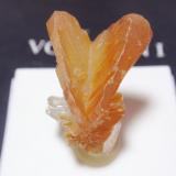 Cerusita xx
Touissit, Oujda, Marruecos
4x4 cm. (Autor: Ignacio)