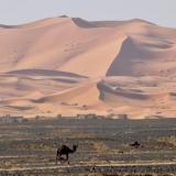 La carretera a Taouz pasa junto a las dunas de Erg Chebbi.
Fot. K. Dembicz. (Autor: Josele)