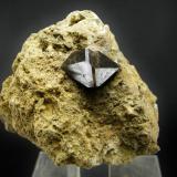 Cuarzo Morión
Paraje de la jabalina - Cehegín - Murcia - España
7.5 x 6.5 cm (Autor: Diego Navarro)
