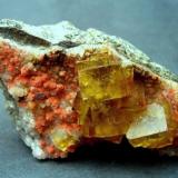 Fluorite, quartz, hematite
Dörfel Quarry, Annaberg District, Erzgebirge, Saxony, Germany
65 x 30 x 15 mm, largest fluorite cubes 8-9 mm (Author: Tobi)