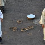 Encantadores de serpientes en la plaza mayor de Marrakech.
Fot. L. Albin. (Autor: Josele)