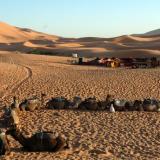 Dunas en Erg Chebbi.
Fot. J. Scovil. (Autor: Josele)