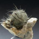 Calcite with hornblende
Minera I Quarry. Lebrija. Sevilla. Andalusian. Spain
Crystal 1 cm.
This head needs a stylist (Author: nimfiara)