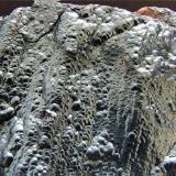 Hematite (var Kidney Ore)
Frizington Parks / New Parkside mine, Frizington, Cumbria
50 x 40 mm (Author: nurbo)