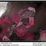 Spherocobaltite
Agoudal Mines, Bou Azer, Tazenakht, Ouarzazate, Morocco
fov 2.2 mm (Author: ploum)