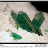 Dioptase
Omaue Mine, Kaokoveld Plateau, Kunene Region, Namibia
fov 9 mm (Author: ploum)