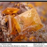 Wulfenite
Rowley mine, Theba, Maricopa Co., Arizona, USA
fov 8 mm (Author: ploum)