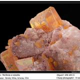 Wulfenite
Rowley mine, Theba, Maricopa Co., Arizona, USA
fov 10 mm (Author: ploum)