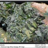 Libethenite
Etoile du Congo Mine, Katanga, RD Congo
fov  15 mm (Author: ploum)