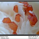 Vanadinite
Mibladen, Midelt, Morocco
fov 6 mm (Author: ploum)