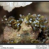 Epidote
La Palma, Canary Islands, Spain
fov 3 mm (Author: ploum)