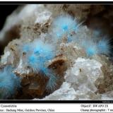 Cyanotrichite
Dachang Mine, Guizhou, China
fov 7 mm (Author: ploum)