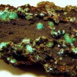 Auricalcita
Mina Ojuela, Mapimi, Durango, Méjico
75 x 47 x 15 mm. (Autor: José Luis Zamora)