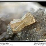 Mimetite on quartz
Mas Dieu, Gard, France
fov 4 mm (Author: ploum)