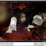 Cerussite, Mimetite and Quartz
Mas Dieu, Gard, France
fov 4 mm (Author: ploum)