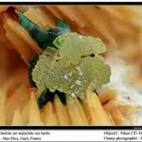 Mimetite on malachite on Barite
Mas Dieu, Gard, France
fov 5 mm (Author: ploum)