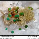 Mimetite, malachite and quartz
Mas Dieu, Gard, France
fov 5 mm (Author: ploum)
