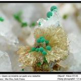 Quartz on mimetite on quartz and with malachite
Mas Dieu, Gard, France
fov 5.5 mm (Author: ploum)