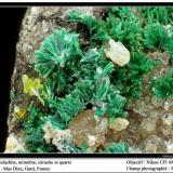 Malachite, mimetite, cerussite and quartz
Mas Dieu, Gard, France
fov 5 mm (Author: ploum)