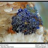 Azurite on Barite
Mas Dieu, Gard, France
fov 5 mm (Author: ploum)