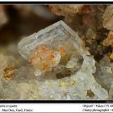Barite and quartz
Mas Dieu, Gard, France
fov 6 mm (Author: ploum)