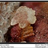 Calcite on siderite
Mas Dieu, Gard, France
fov 5 mm (Author: ploum)