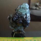 Chalcopyrite, fluorite and sphalerite.
Naica, Chihuahua, Mexico.
9 cm. (Author: javmex2)
