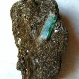 Beryl var. Emerald in mica schist
Leckbachrinne, Habach Valley, Salzburg, Austria
13 mm crystal on a 50 mm specimen (Author: Tobi)