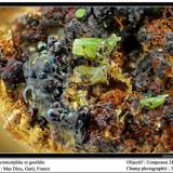 Pyromorphite  on Goethite
Mas Dieu, Gard, France
fov 3.5 mm (Author: ploum)