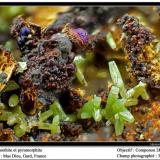 Pyromorphite  on Goethite
Mas Dieu, Gard, France
fov 3.5 mm (Author: ploum)