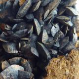 Siderita en LimonitaMinas de hierro de Ojos Negros, Ojos Negros, Comarca Jiloca, Teruel, Aragón, España3 x 4 cm. la zona de cristales (Autor: javier ruiz martin)