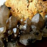 Smoky quartz, feldspar
Lattice quartz occurrence, Karibib District, Erongo Region, Namibia
FOV 60 mm (Author: Tobi)