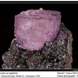 Fluorite
Elmwood mine, Carthage, Smith Co., Tennessee, USA
fov 80 mm (Author: ploum)