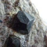 Dolomita (variedad teruelita) en yesoBarranco del Nabo, Teruel, Comarca de la Comunidad de Teruel, Aragón, España5 x 4 cm. (Autor: javier ruiz martin)