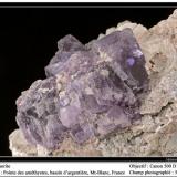 Fluorite (purple)
Glacier des Amethystes, Bassin d’Argentière, Mont Blanc, France
fov 50 mm (Author: ploum)