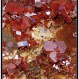 Vanadinite
Mibladen, Midelt, Maroc
fov 50 mm (Author: ploum)