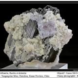 Wolframite, fluorite, dolomite
Yaoganxiang Mine, Hunan, Chenzhou, China
fov 80 mm (Author: ploum)