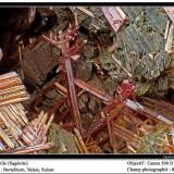 Rutile
Borthelhorn, Valais, Switzerland
fov 8 mm (Author: ploum)